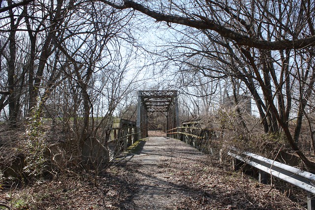 Old Trammel Creek Bridge (Allen County, Kentucky)