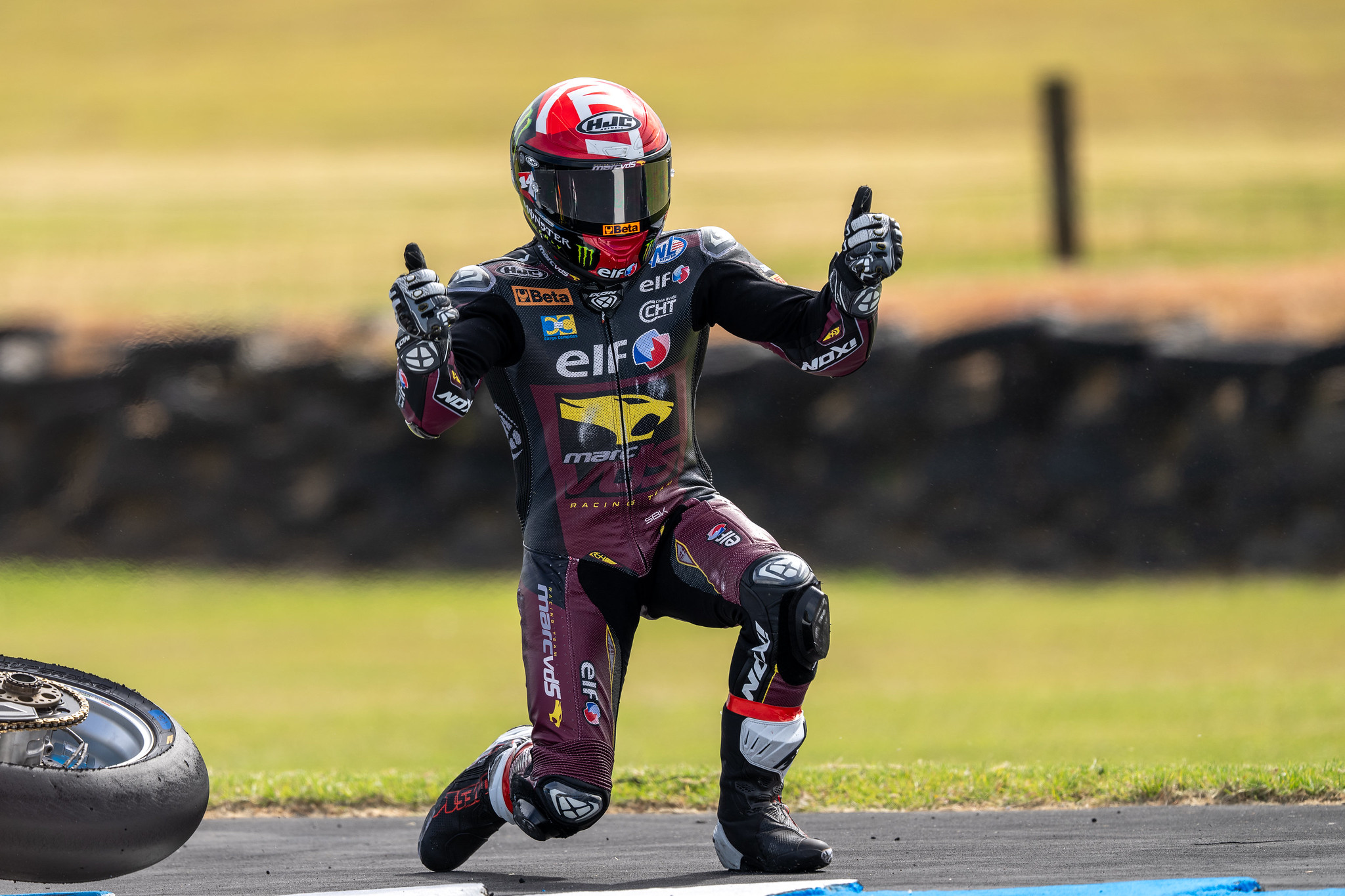 #14 Sam Lowes - GBR - ELF Marc VDS Racing Team  -  Ducati Panigale V4R