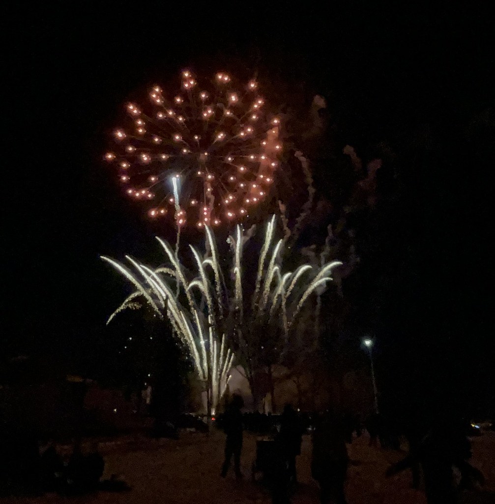 Family Day Fireworks at the Meadowlark Community League 2024