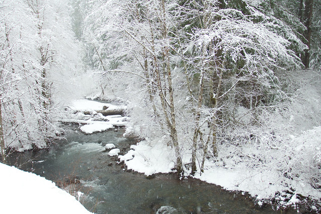 Pamelia Creek in snow, Oregon