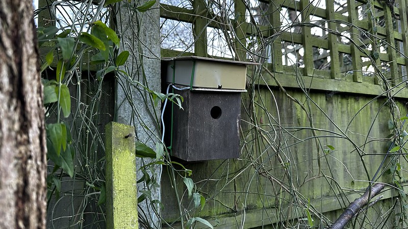 bird box with camera