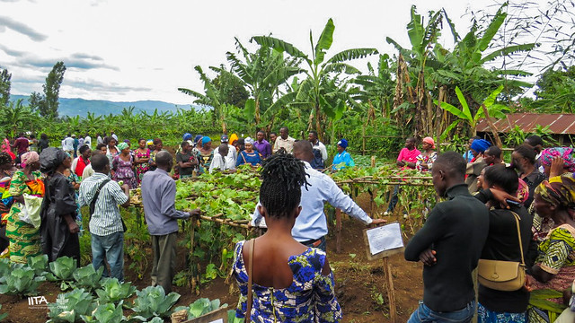 Short training session on vegetable production technologies