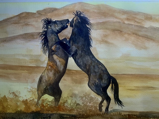Namibian Stallon fight in the desert