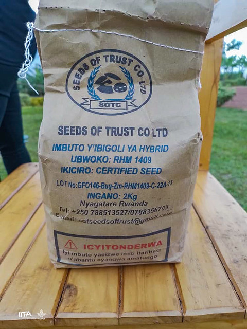 Seed packs with key information about the seeds