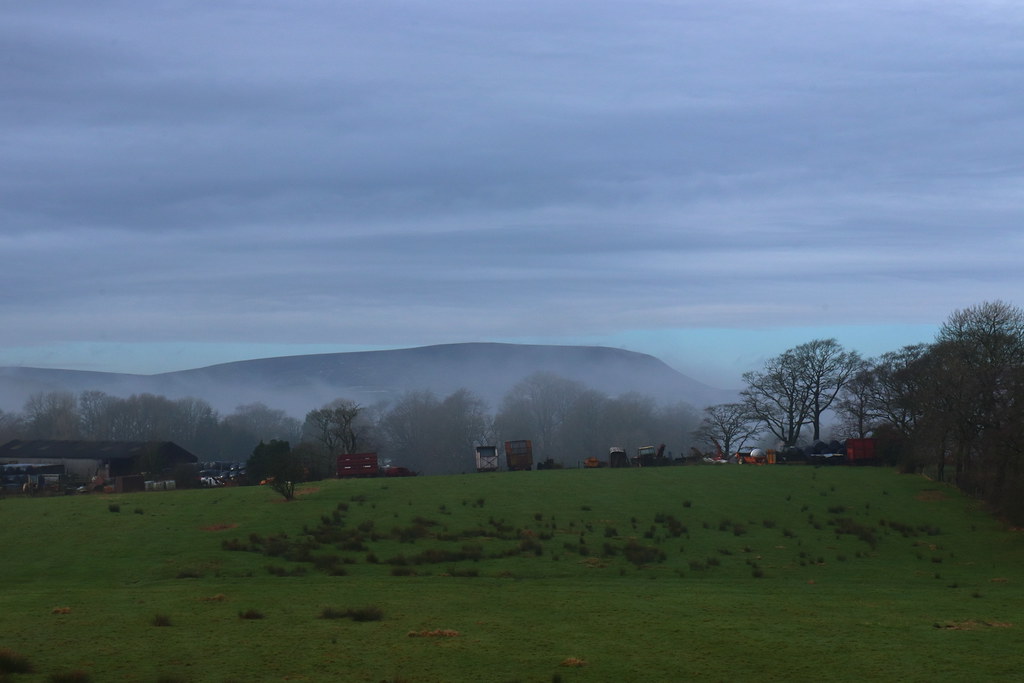 fog below the hill