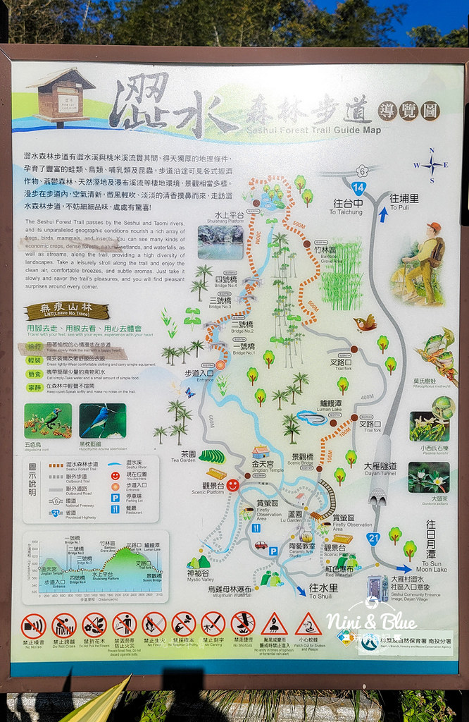 澀水森林步道日月潭步道06