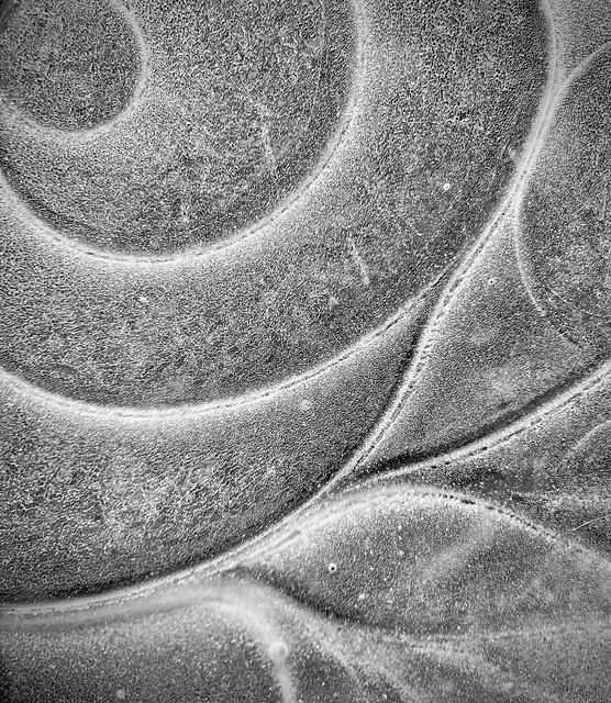BW Frozen Abstract