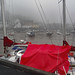 Red in a Mist at Stonehaven