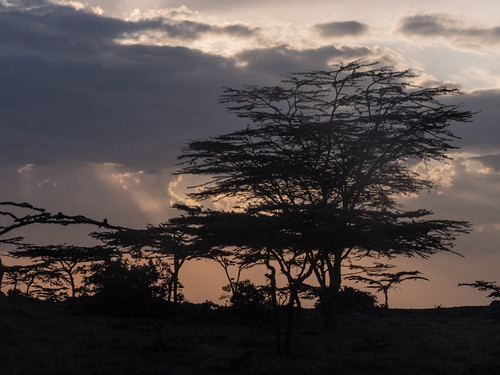 PANA41196p by Gareth's Pix, Sunset, Kajiado County, Kenya
