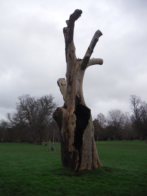 Picturesque Dead Tree, Ruskin Park SWC Short Walk 39 - Brockwell Park (Herne Hill Circular or to Brixton) [Denmark Hill Start]
