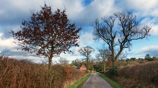 House at the End of the Lane