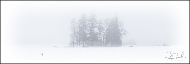 rural winter mist - III