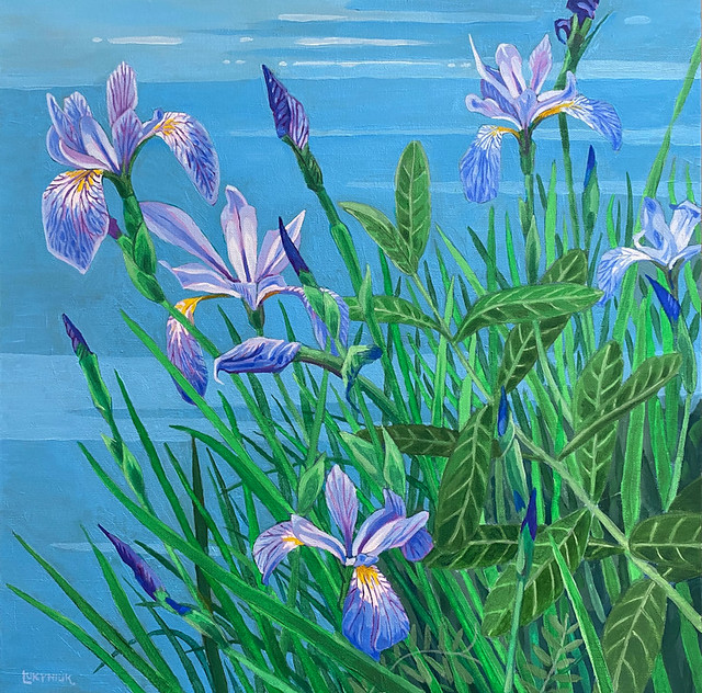 Wild irises by the water