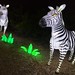 Zoo Lights PHX
