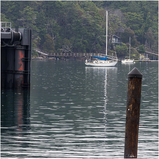 Friday Harbor Sailboat Reflection