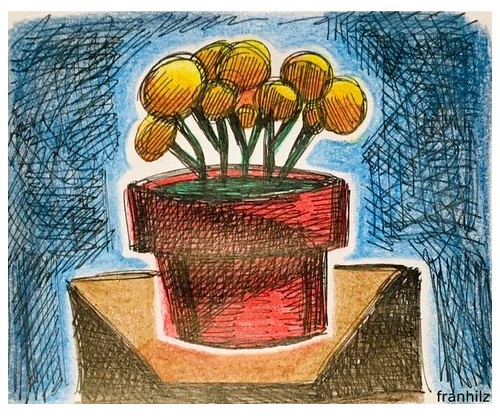 The red flower pot
