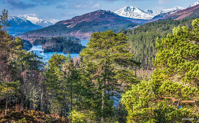 Glen Affric. Mine eyes have seen the glory.....of this heavenly place, Inverness-shire, Scotland.