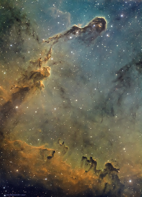 Elephant Trunk Nebula. IC 1396. 10 Hours SHO. Separate RGB stars. 1000mm f/7.7 Petzval
