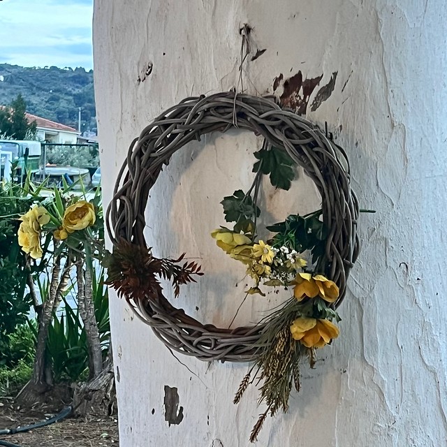 Wreath on a Tree