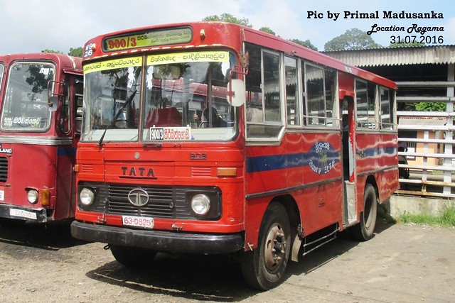 63-0825 Welisara Depot Tata - LP 909/36 D type bus at  Ragama in 31.07.2016