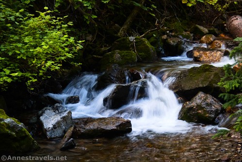 A small cascade along the road to Donut Falls, Big Cottonwood Canyon, Uinta-Wasatch-Cache National Forest, Utah