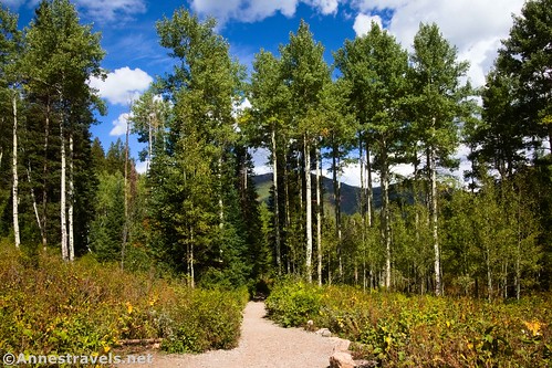 Looking back down the trail to Donut Falls, Big Cottonwood Canyon, Uinta-Wasatch-Cache National Forest, Utah