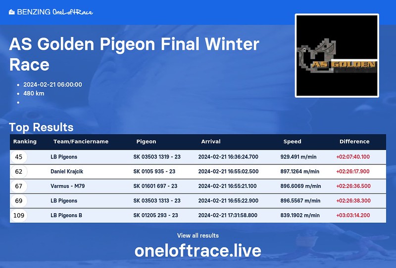 AS Golden Pigeon Final Winter Race(1)