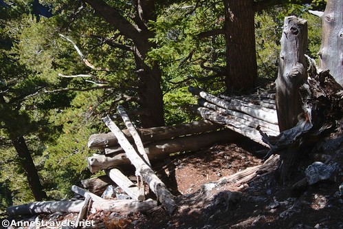 The remains of the old cabin along the Kessler Peak Trail, Big Cottonwood Canyon, Uinta-Wasatch-Cache National Forest, Utah