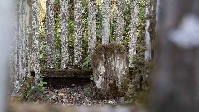 Jack London State park Grave