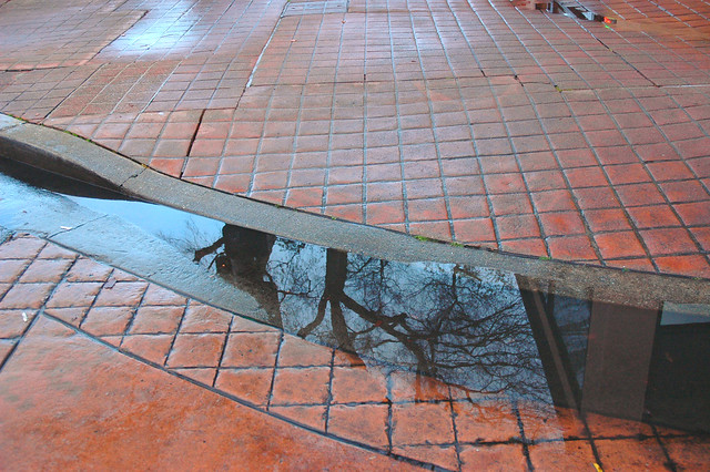 Reflection rainwater, walkway curb downtown, winter, San Mateo, San Mateo County, California, USA