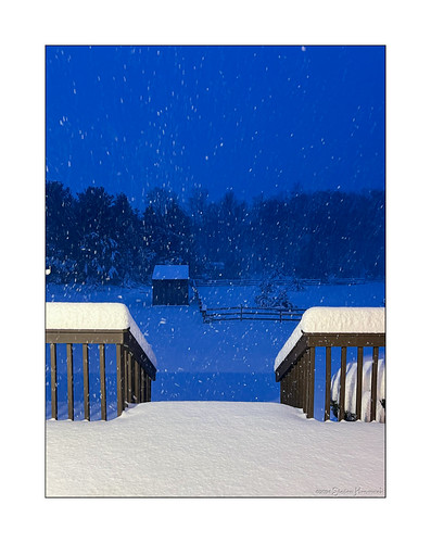 A Very Snowy Morning by GAPHIKER, This was the view off the deck at 0644, 13 February 2024.  The depth was about 9 inches but it conti