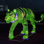 Year of the Tiger illuminated display 