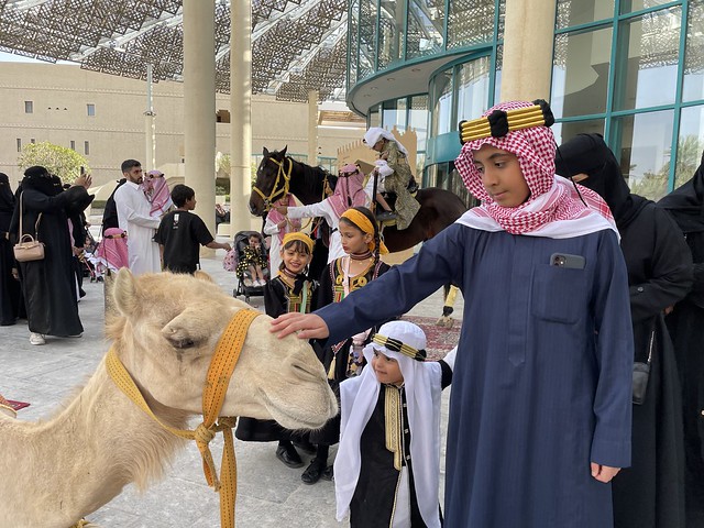 Touching a camel