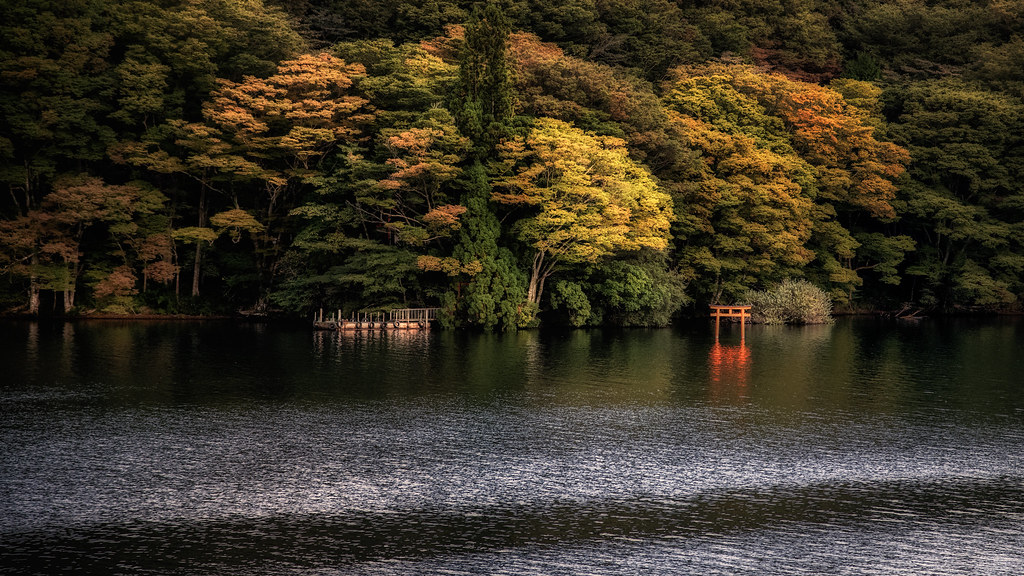 Torii Gate Lake Ashi