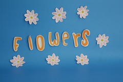 Stop-motion "flowers"