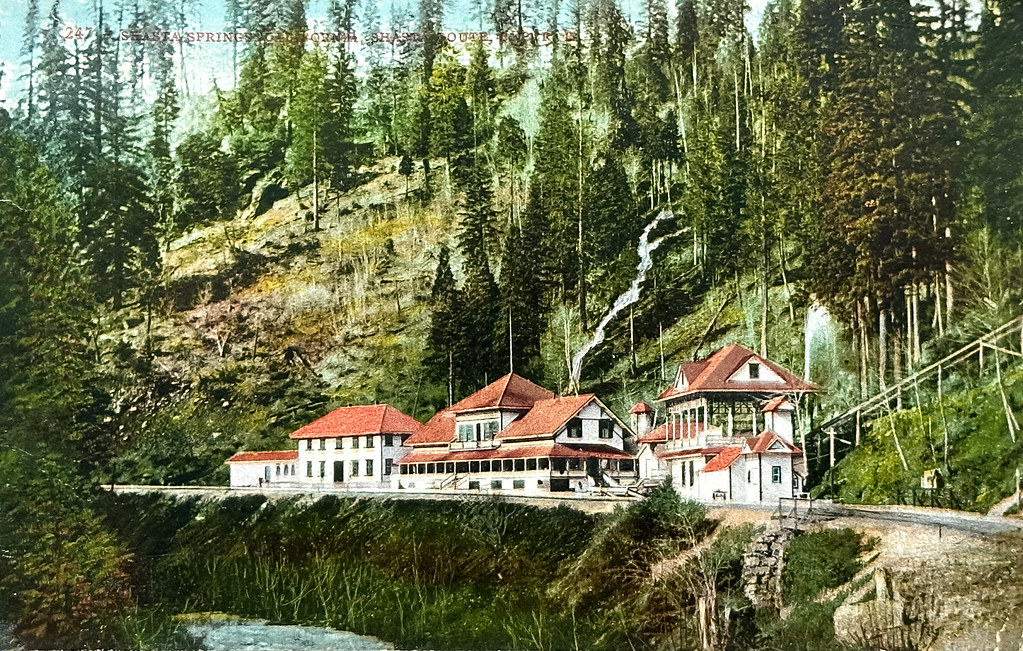 “Shasta Springs, California.” Postcard 247 published by Edw. H. Mitchell, San Francisco (1910).