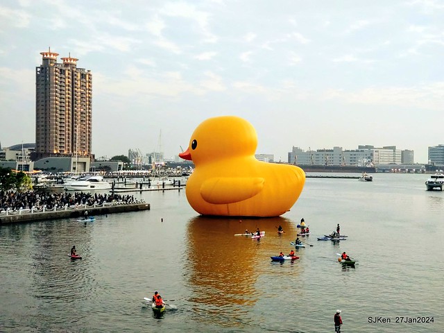 「黃色小鴨 Rubber Duck」由荷蘭藝術家霍夫曼（Florentijn Hofman）創作 exhibitied at Koashiung harbour from 2024.01.27 ~ 2024.02.25, by SJKen, Jan 27, 2024.