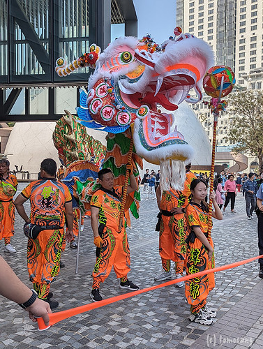 Hong Kong Dragon and Lion Dance Extravaganza 2024