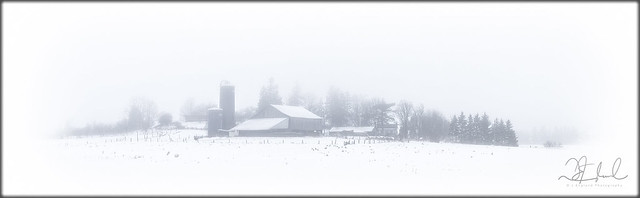 rural winter mist - V