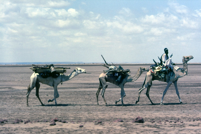 1988 Niger - Tuareg nomadi
