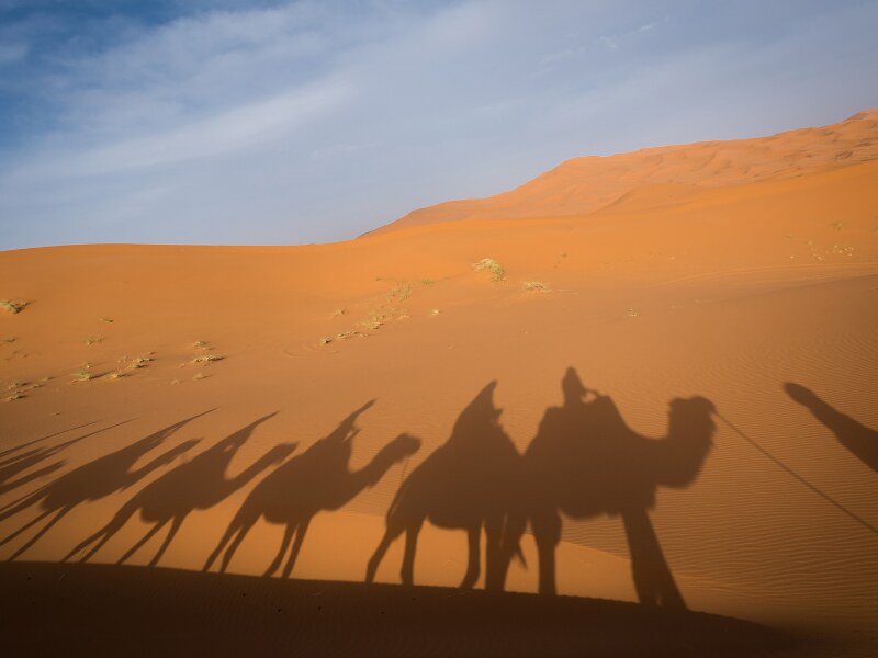 things to do in Morocco - camel trek in the Sahara Desert