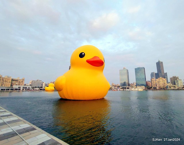 「黃色小鴨 Rubber Duck」由荷蘭藝術家霍夫曼（Florentijn Hofman）創作  exhibitied at Koashiung harbour from 2024.01.27 ~ 2024.02.25, by SJKen, Jan 27, 2024.