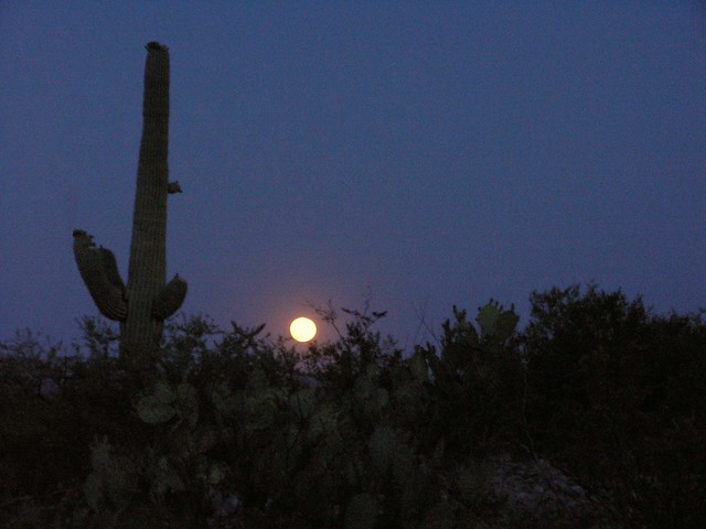 Desert Moon at sunset; S Redington Road, San Pedro River Valley, SE of San Manuel, AZ