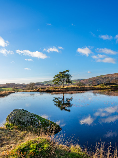 Refections of Kelly Tarn