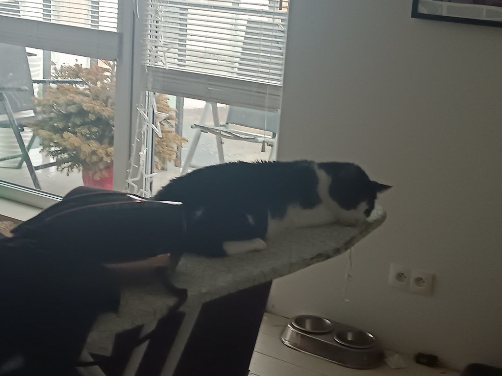 A photo of a tuxedo cat sleeping on an ironing board.