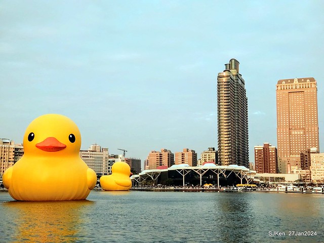 「黃色小鴨 Rubber Duck」由荷蘭藝術家霍夫曼（Florentijn Hofman）創作  exhibitied at Koashiung harbour from 2024.01.27 ~ 2024.02.25, by SJKen, Jan 27, 2024.