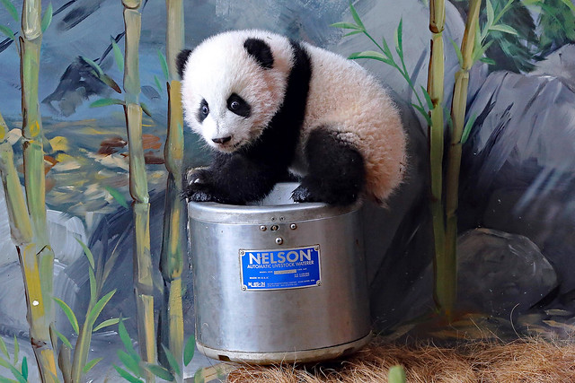 Mei Huan and the water dispenser