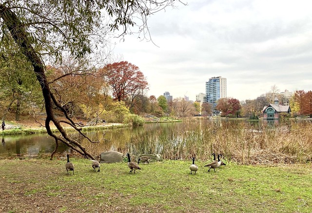 By the Harlem Meer