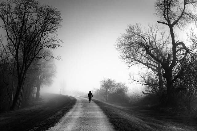 Lonely morning walk in black and white