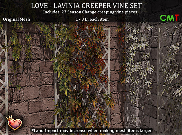 LOVE LAVINIA CREEPER VINE SET